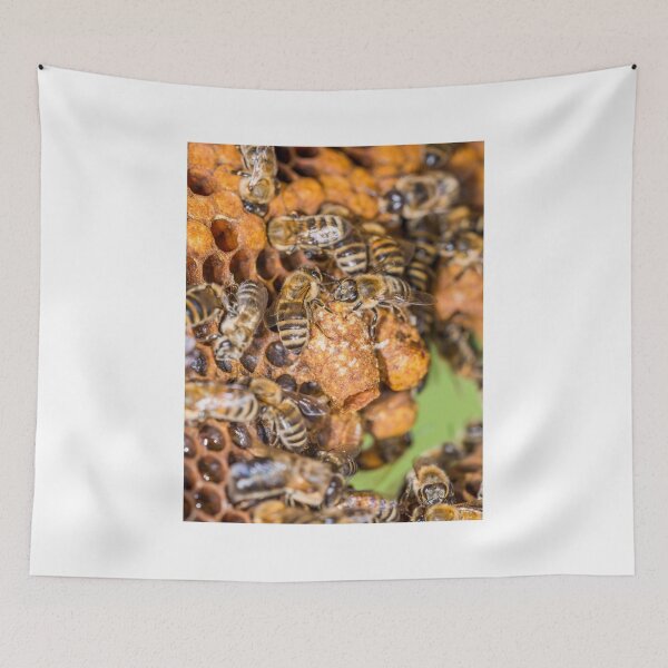 Item preview, Queen's chambers designed and sold by Mark Bangert.