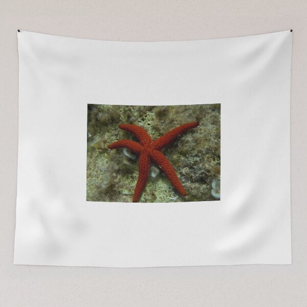 Item preview, Star designed and sold by Ana Belaj.