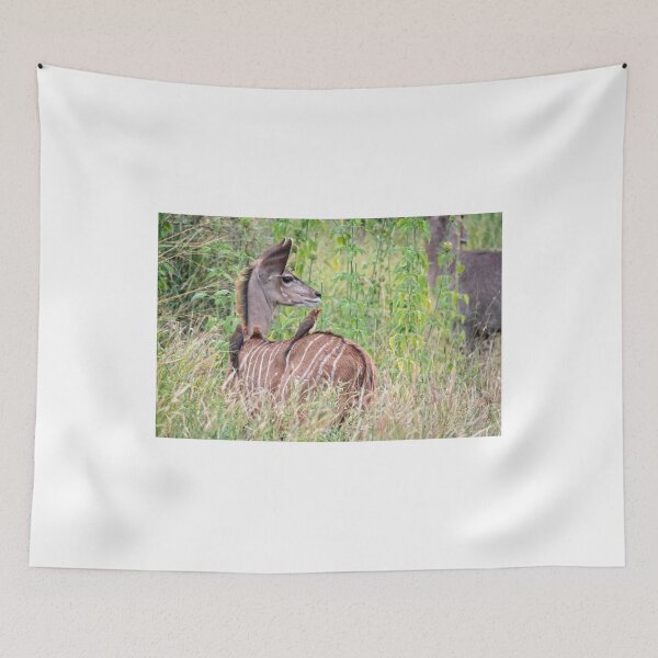 Item preview, Kudu calf designed and sold by zuluspice.