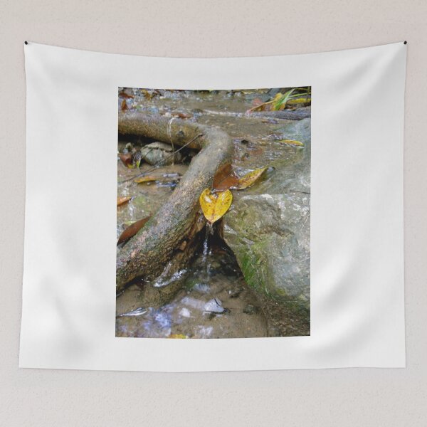 Item preview, Water Trickle: Duranak Falls in Tanay, Philippines designed and sold by Megan Nicole Czerwinski.