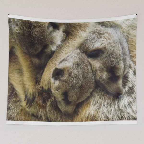 Item preview, Pile of Baby Meerkats Sleeping designed and sold by PhotosByTrish.