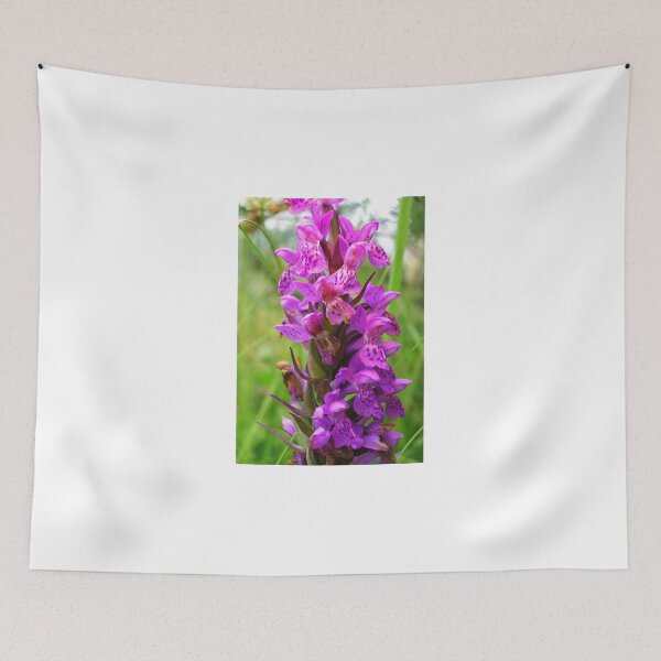 Item preview, Heath Spotted Orchid (2) designed and sold by lezvee.