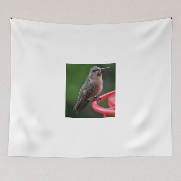 Item preview, HUMMINGBIRD ANNA'S SITTING ON FEEDER PERCH designed and sold by JAYMILO.