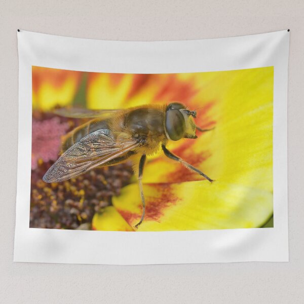 Item preview, Merodon Hoverfly designed and sold by relayer51.