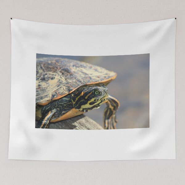 Item preview, Turtle on a Log designed and sold by DebbieCHayes.