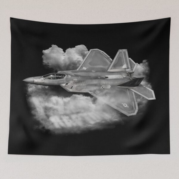 Item preview, F-22 RAPTOR designed and sold by deathdagger.