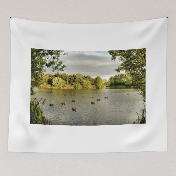 Item preview, Evening Swim designed and sold by Sarah Couzens.