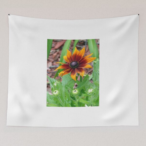 Item preview, Autumn Colors Black Eyed Susan designed and sold by Frankie Cat Photography.