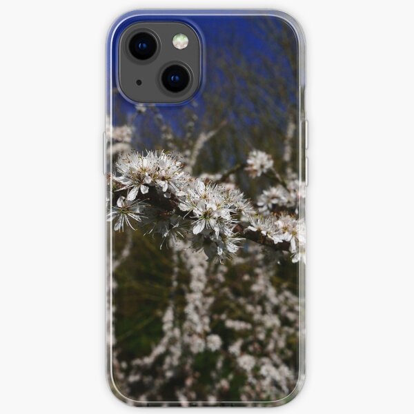 Blackthorn (Prunus spinosa) iPhone Soft Case
