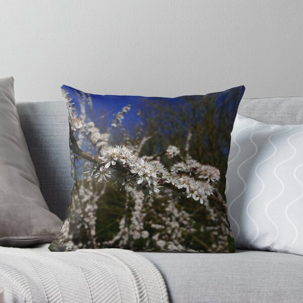 Aperçu de l'œuvre Blackthorn (Prunus spinosa) créée et vendue par IOMWildFlowers.