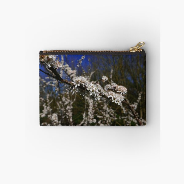 Item preview, Blackthorn (Prunus spinosa) designed and sold by IOMWildFlowers.