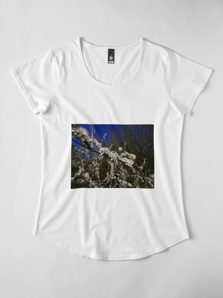 Alternate view of Blackthorn (Prunus spinosa) Premium Scoop T-Shirt