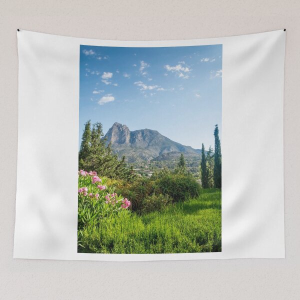 Item preview, A view of Puig Campana designed and sold by Ralph Goldsmith.