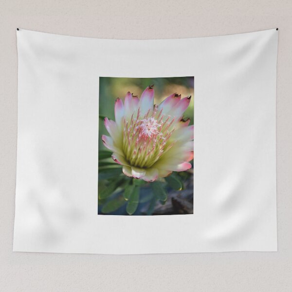 Item preview, FULL BLOOM - PROTEA designed and sold by kazaroodie.
