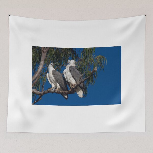 Item preview, You Know You Love Me designed and sold by byronbackyard.