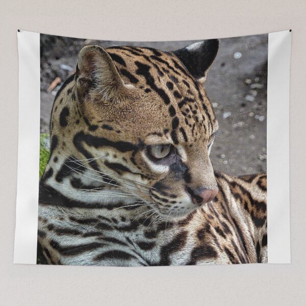 Item preview, OCELOT designed and sold by pixelab.