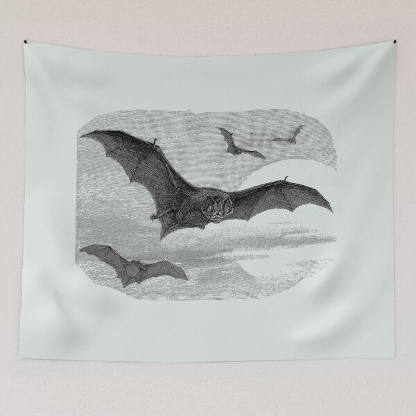 Item preview, Illustration of the barbastelle bat designed and sold by marmur.