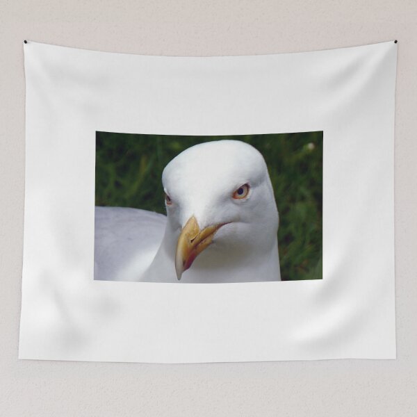 Item preview, Are You Looking At Me.............. designed and sold by lynn carter.