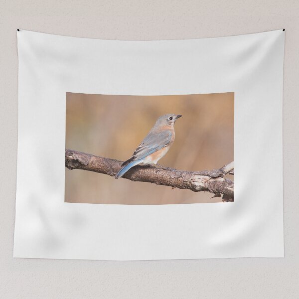 Item preview, Eastern Bluebird designed and sold by EugeJ.