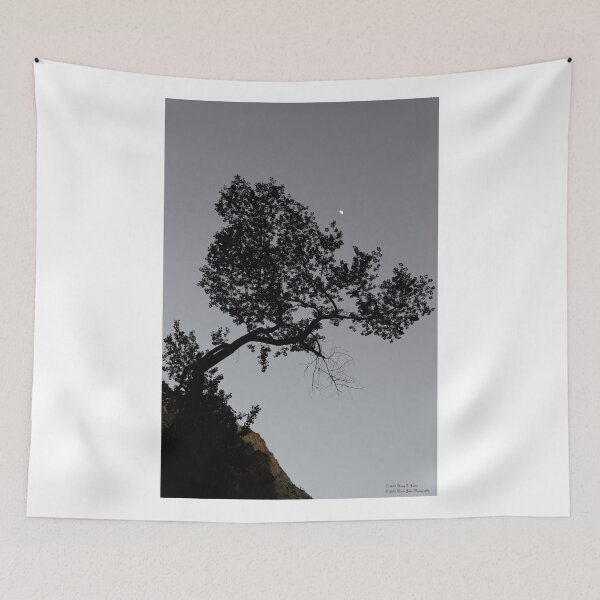 Item preview, Goodnight Bryce © designed and sold by © Hany G. Jadaa © Prince John Photography.