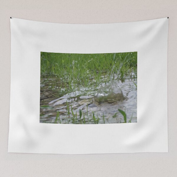 Item preview, Splash designed and sold by Teresa Morgan.