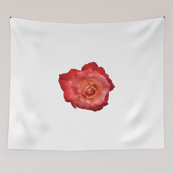 Item preview, Ombré Red Garden Rose I - Hipster/Pretty/Trendy Flowers designed and sold by Vrai Chic.