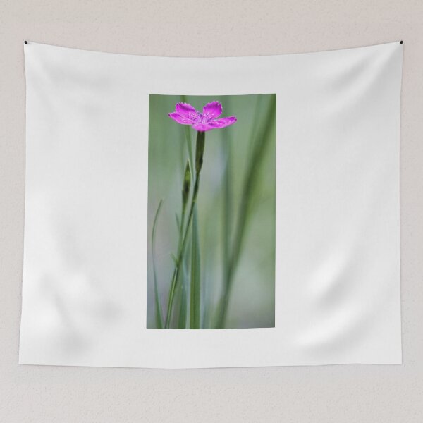 Item preview, Native Deptford Pink Dianthus designed and sold by T.J. Martin.