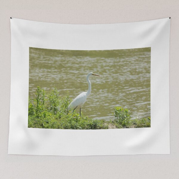 Item preview, Great White's Promenade  designed and sold by EugeJ.