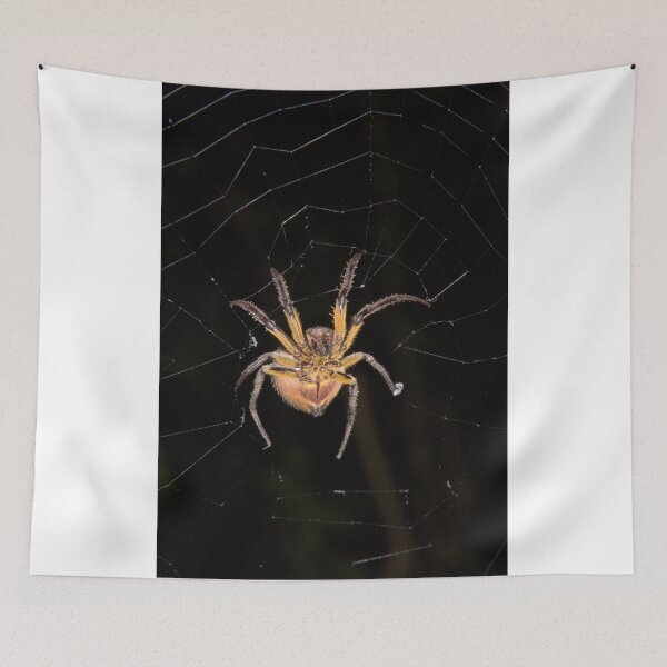 Item preview, Tropical orb weaver, Parque Nacional del Manu, Peru designed and sold by Erik Schlogl.