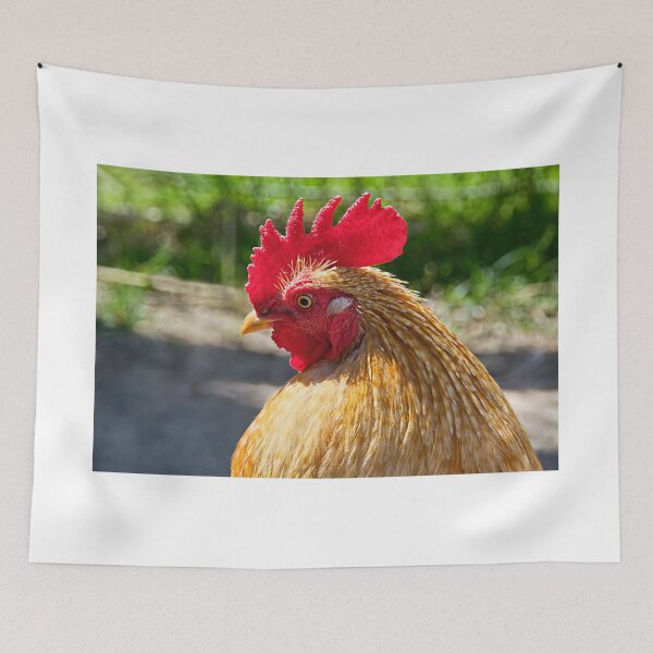 Item preview, Little Red Rooster designed and sold by Dorset Girl.