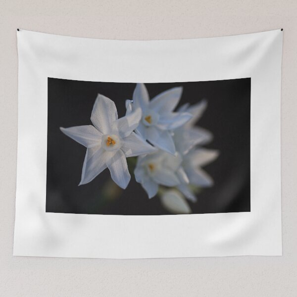Item preview, Paperwhite  designed and sold by Joy Watson - Natural Light Photography .