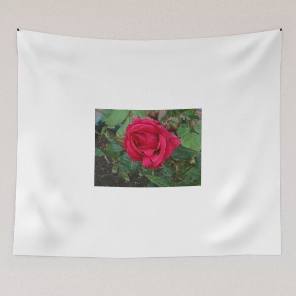 Item preview, Beauty in Minature - Red Rose After Rain designed and sold by Kathryn Jones.