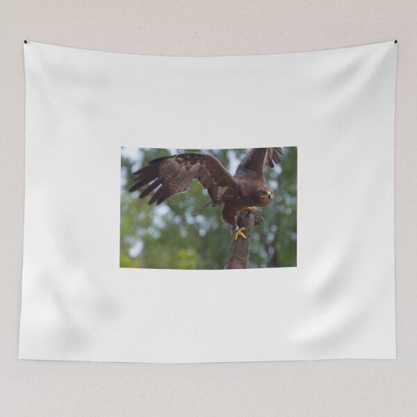 Item preview, Aquila nipalensis designed and sold by Mythos57.