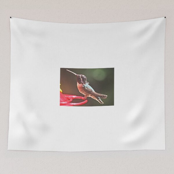 Item preview, YOUNG MALE WHITE EARED HUMMINGBIRD designed and sold by JAYMILO.