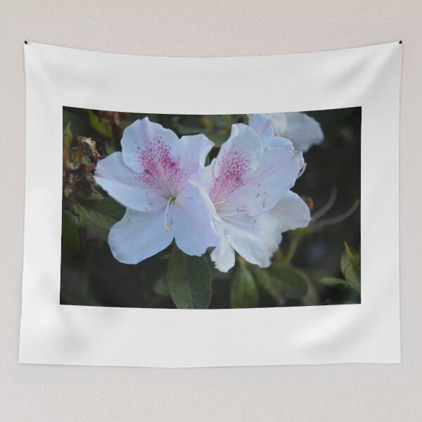 Item preview, WHITE AZALEA designed and sold by kazaroodie.