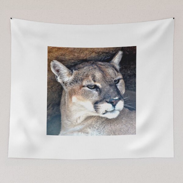 Item preview, Female Mountain Lion designed and sold by Amy McDaniel.