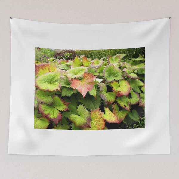 Item preview, Leaves of Rockhampton Qld Australia designed and sold by sandysartstudio.