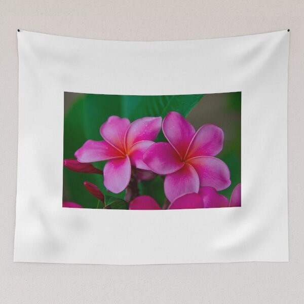 Item preview, Pink Plumeria 1073 designed and sold by AnkhaDesh.
