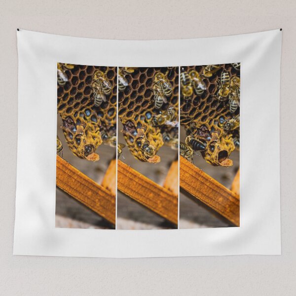 Item preview, A new queen hatches designed and sold by Mark Bangert.