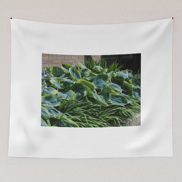 Item preview, Sunlit Hosta designed and sold by SunriseRose.