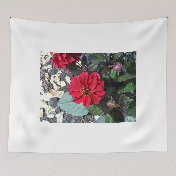 Item preview, Lady in Red - Stunning Scarlet Dahlia designed and sold by SunriseRose.