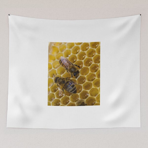 Item preview, Sealing up the honeycomb designed and sold by Mark Bangert.