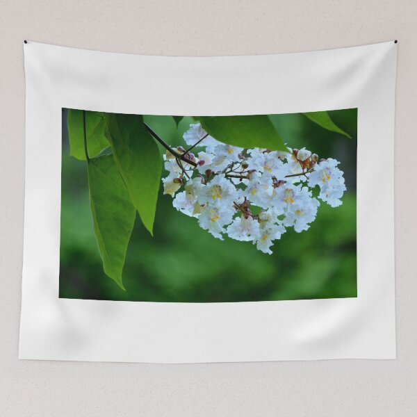 Item preview, Catalpa bloom designed and sold by Laurie Minor.