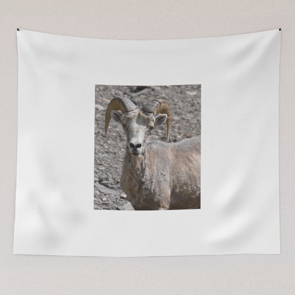 Item preview, You stare at me, I stare at you designed and sold by becmayr.