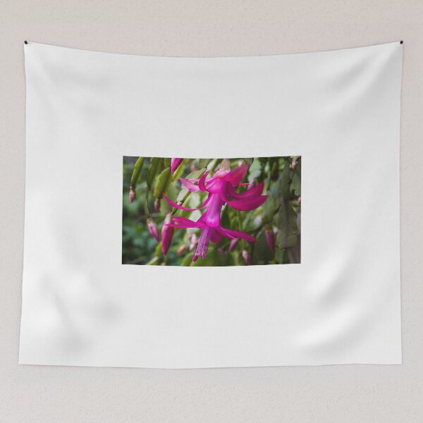Item preview, Zygo cactus designed and sold by Doug Cliff.