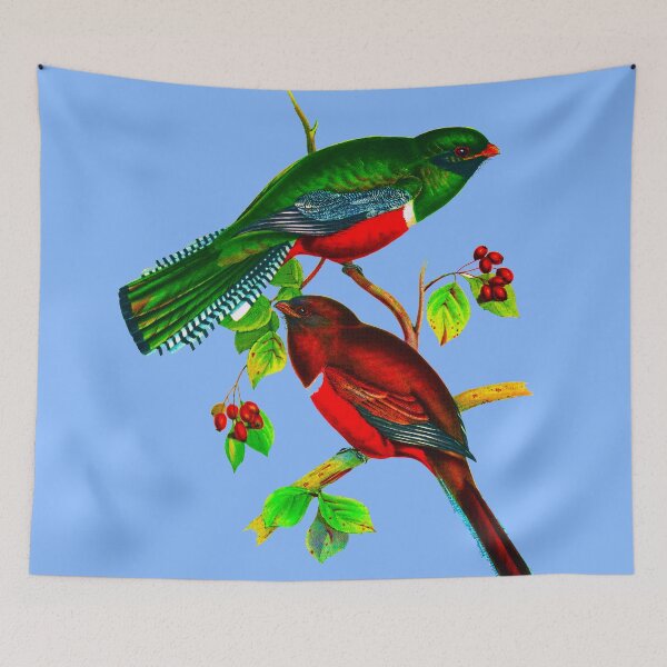 Item preview, Collared Trogon, Trogon collaris designed and sold by marmur.