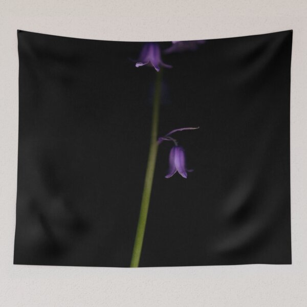 Item preview, Bluebell - Two designed and sold by Studio 4 Photo.