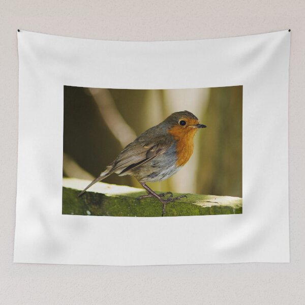 Item preview, Robin designed and sold by Studio 4 Photo.