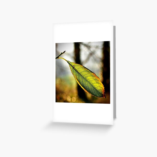 Autumn fade Greeting Card