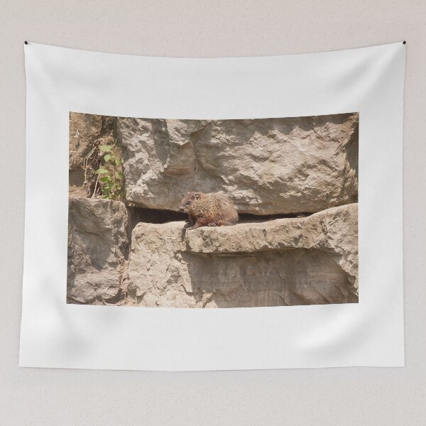 Item preview, Hog On A Ledge designed and sold by EugeJ.
